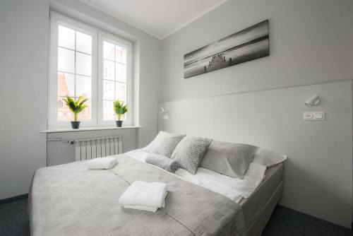 Old Town Hostel | Wide Street