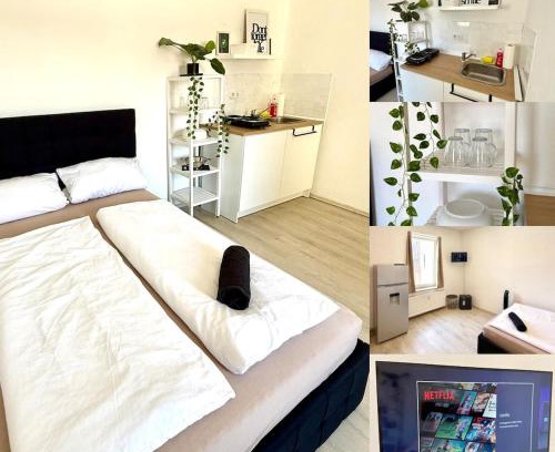 Dortmund Apartment | Wie bei Freunden zuhause - nur schöner
