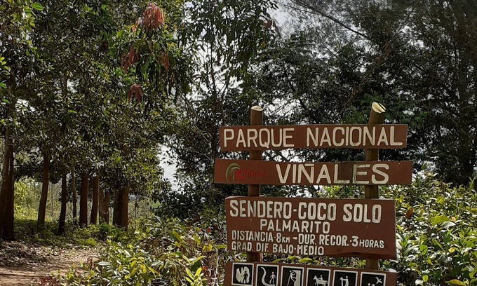 Vinales House | Wilber House 4 Hours Free Horse Tour Included