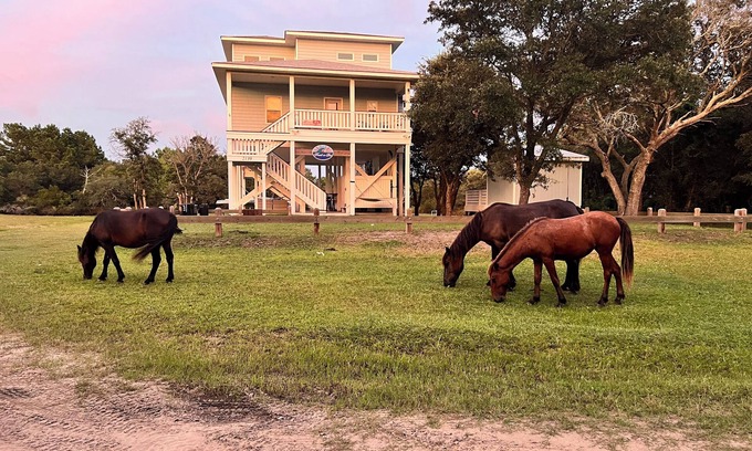 Carova Beach House | Wild Horses, Wilder Views: Stunning Carova Canal Front Home