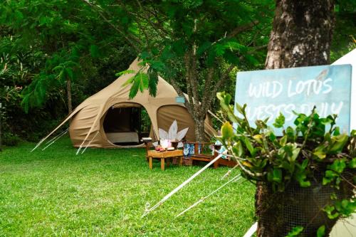 Colonarie Other | Wild Lotus Glamping