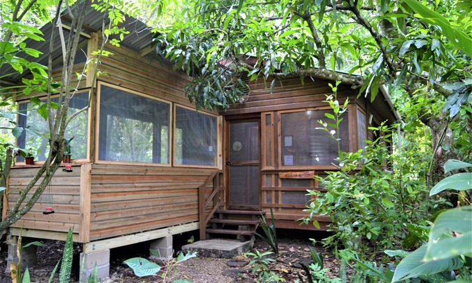 San Ignacio House | Wild & Wonderful Family-friendly 'jungle Like' Oasis in San Ignacio Belize