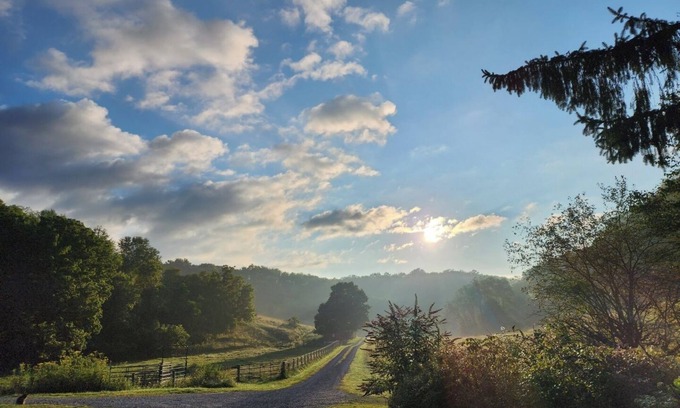 Lewisburg Cabin | Wild Wonderful Primitive Cabin in WV, Get back to nature, fresh air, wildlife.