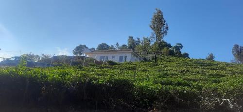 Kotagiri House | Wilderness Vila
