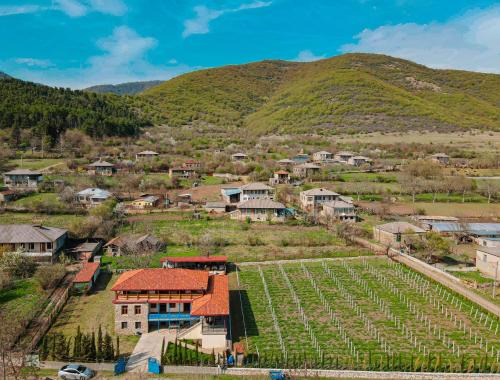 Akhmeta Ski Chalet | Winery Matisi
