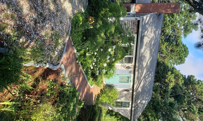 Brewster House | Winter Retreat! Cottage- like Cape Cod Home, wooded, quiet and serene.