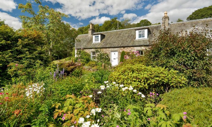 Pitlochry House | Wintergreen