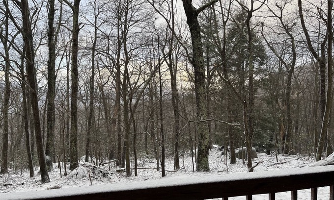 Wintergreen Condo | Wintergreen 1bed Condo, Walk to slopes, close to Hiking, Breweries, Wineries
