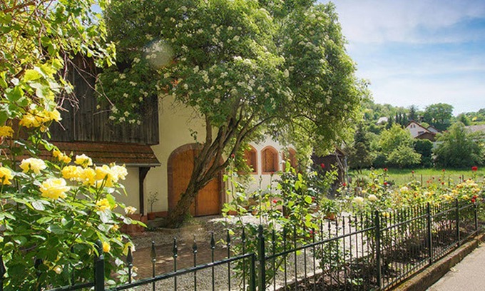 Bickensohl Apartment | Winzerhaus, 60 qm mit Garten und 1 Schlafzimmer für max. 2 Personen