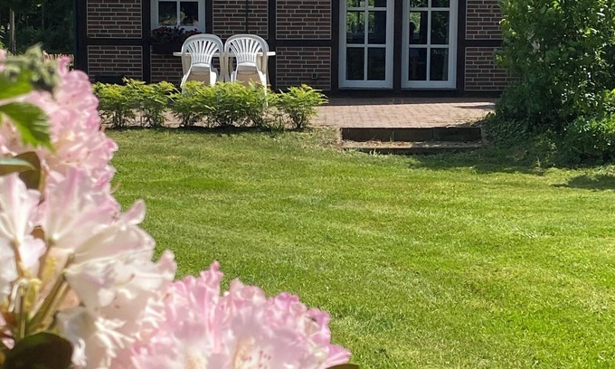 Apen House | Witch's cottage