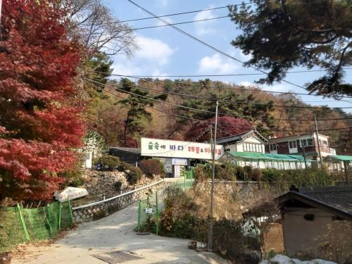 Ui-dong House | Wolbyeok Town