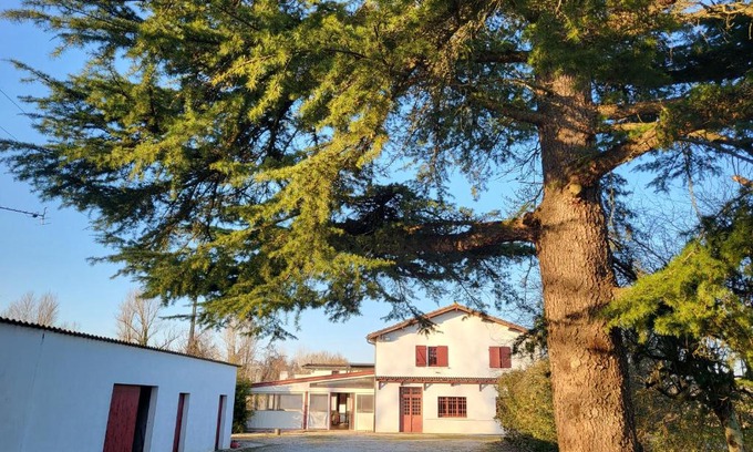 Corbarieu Hotel | WonderBar (Auberge du Trinquet)