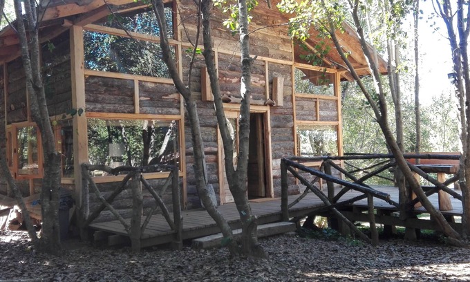 Pucon House | Wonderful rustic cabin, with native trees, with Rio Trancura, equipped
