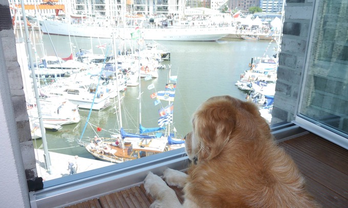 Mitte-Sud Apartment | Wonderful views, wonderful and direct waterfront location in the middle of the Havenwelten