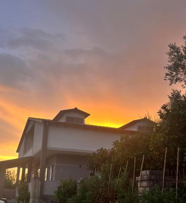 Delvine House | Wooden Guest House