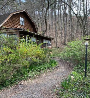 Mena House | Woodhaven, darling romantic cabin, ATV trails, Mena, AR