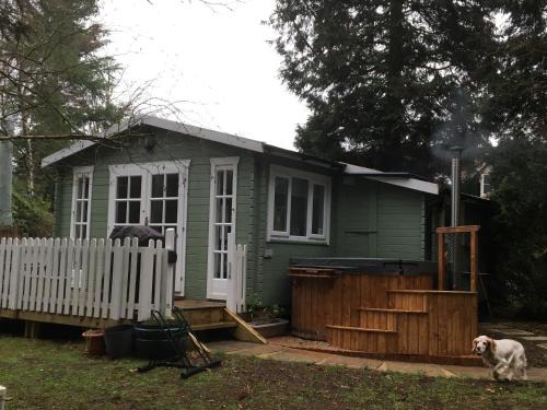 Tilford Cabin | Woodland Cabin With private Wood-Fired Hot-Tub