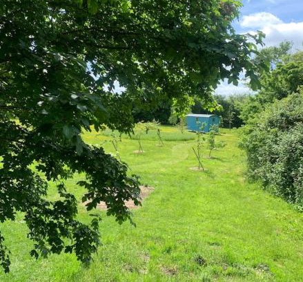 Newmarket Apartment | Woodpecker Shepherd Hut with private facilities Newmarket CB8
