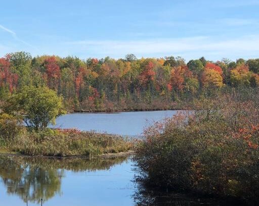 Lupton House | Wyatt’s Cove-Pontoon Rental Available