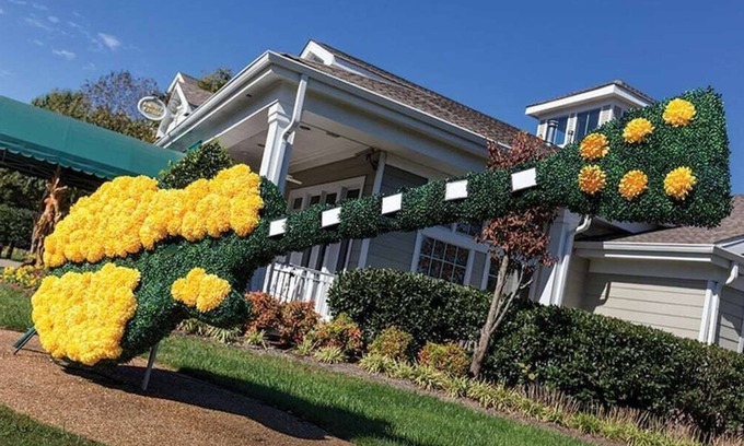 Pennington Bend Resort | Wyndham Nashville 2 Bedroom Deluxe-close to Gaylord Opryland