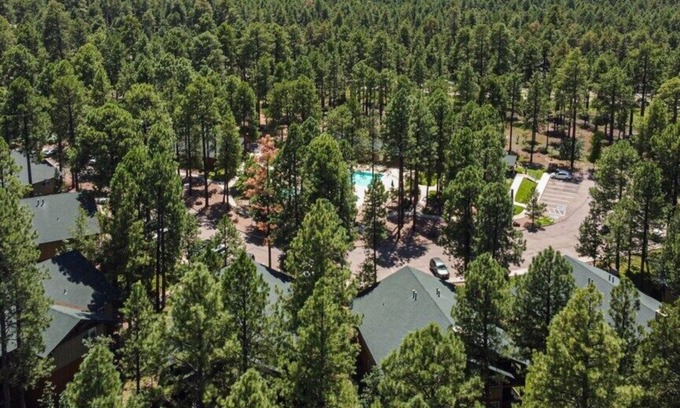 Pinetop Apartment | Wyndham Pinetop - Stunning Studio
