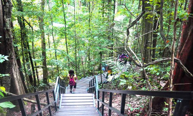 Kuala Tahan Hotel | Xcape Resort at Taman Negara