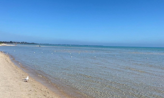 Blairgowrie House | Xmas & New Year Available Walk to Beach & shops 3 Bedroom 2 bathroom