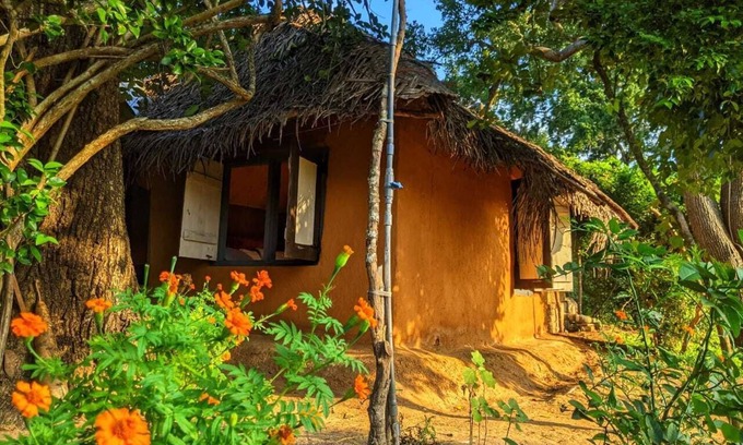 Palatupana Cabin | Yala Jungle Haven