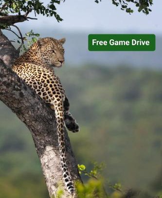 Skukuza Other | Yebo Safari Tents-Stay Inside Kruger