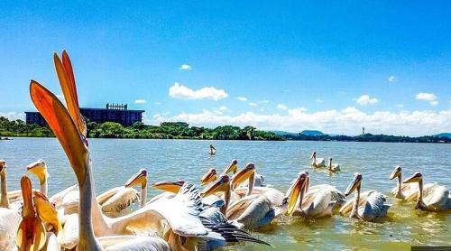 West Hararge Hotel | Yiganda Hotel, Bahir Dar