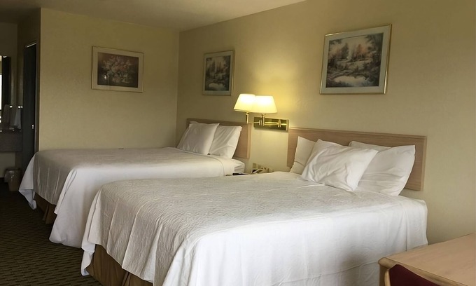 Cabot House | You Found It! 4 Comfortable Units, Free Breakfast & Parking, Pets Allowed, Pool