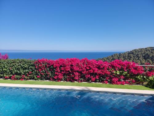 Blanes Apartment | Your Paradise at Costa Brava