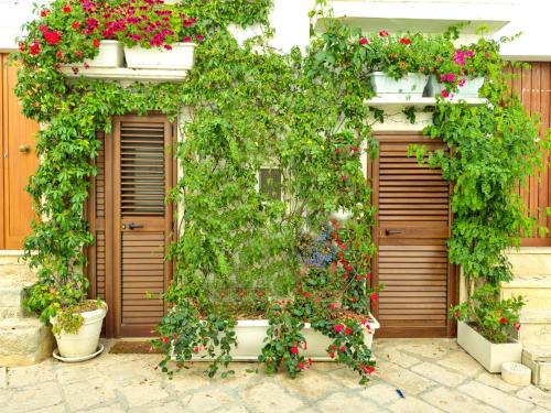 Centro Storico Apartment | Youse - Your House in Locorotondo