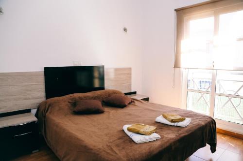 Costa Adeje Apartment | Yucca Park
