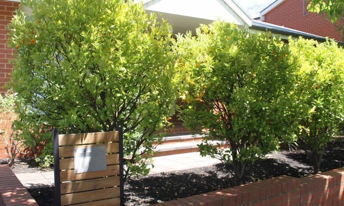 Black Rock House | Zannies House located in a quiet neighbourhood