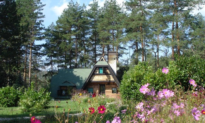 Kremna Apartment | Zeleni Čardaci etno apartmani