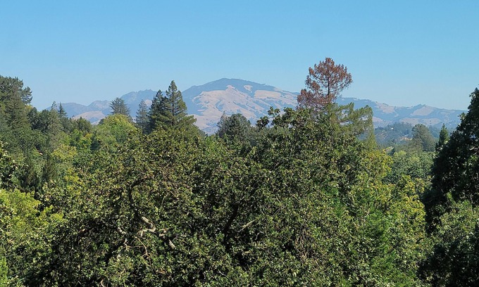 Stanley House | Zen Garden Getaway w/ Mountain View