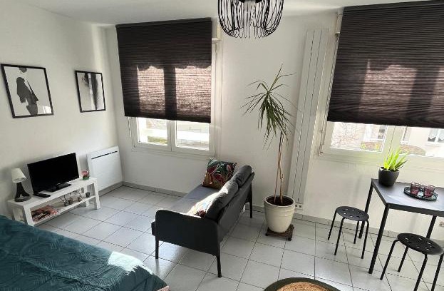 Robertsau Apartment | ZEN-ITUDE