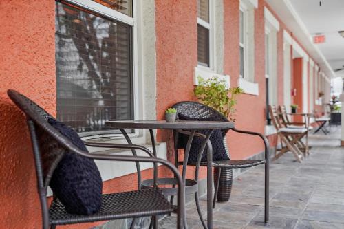St. Petersburg Apartment | Zen Oasis Chic 1Bd Steps to DTSP