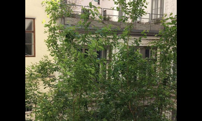 Spittelberg House | Zentrale Ruhige 2-zimmerwohnung, im Zentrum von Wien
