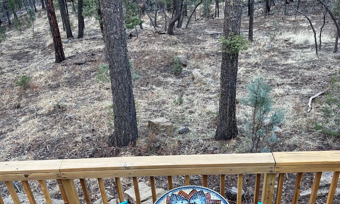 Ruidoso Cabin | Zia Den Cabin located beneath the Ruidoso Pines
