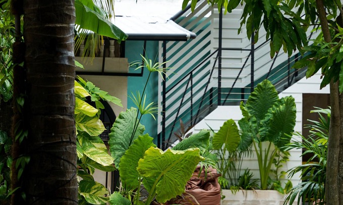 Maafushi House | Zinnia Villa
