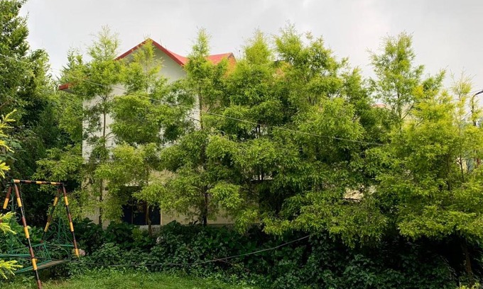 Bhimtal House | ZORBA COTTAGE (Home Stay in Nainital)