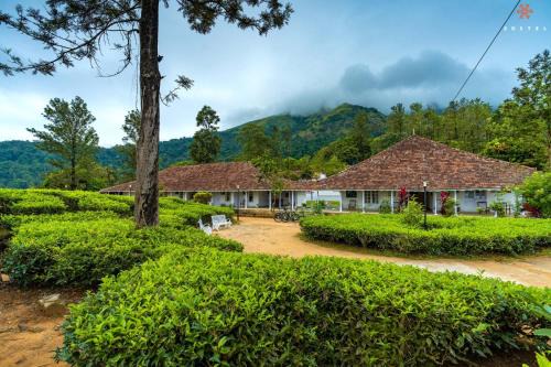 Kottappadi part Hostel | Zostel Plus Wayanad