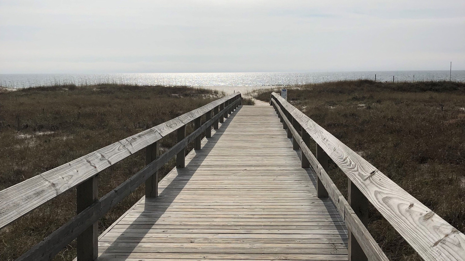 Photo of Others in Orange Beach