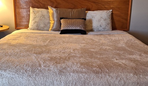 Standard Single Room, 1 King Bed