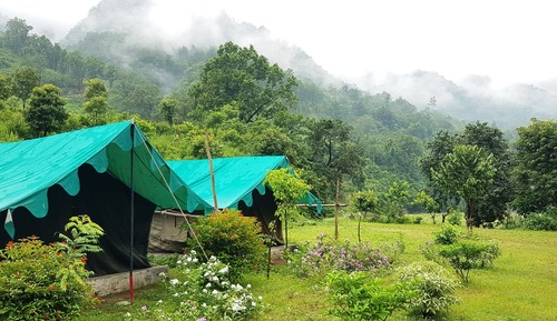 Basic Tent