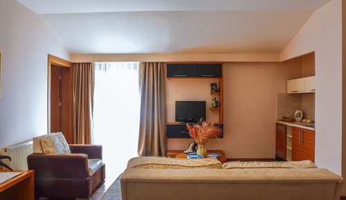 Presidential Room, 1 Bedroom, Mountain View