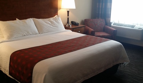 Standard Single Room, 1 King Bed