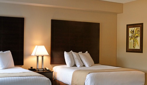 Comfort Studio Suite, 2 Queen Beds